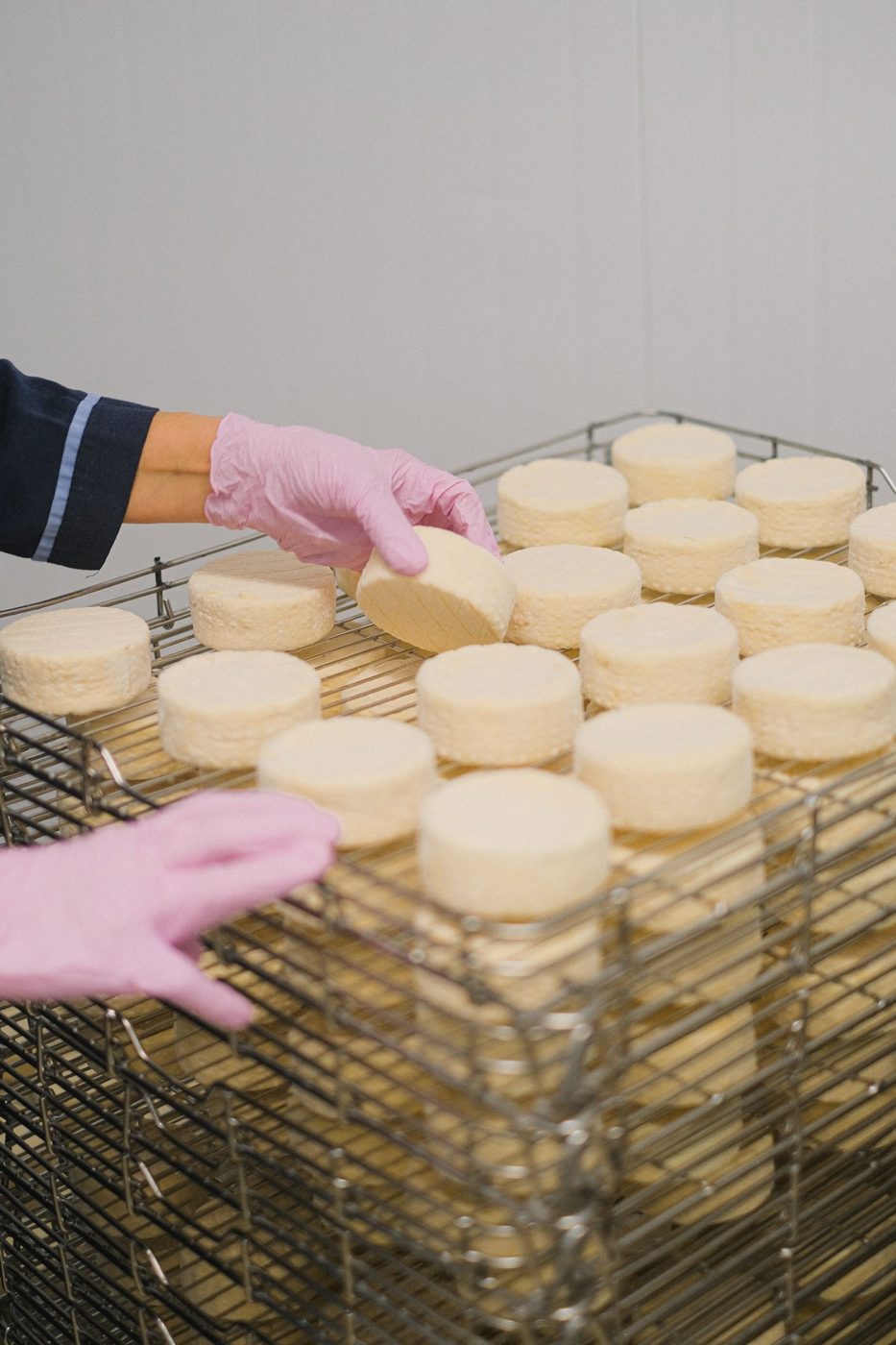 Illustration du métier Responsable qualité en agroalimentaire